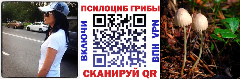 Галлюциногенные грибы мухоморы  Вельск 